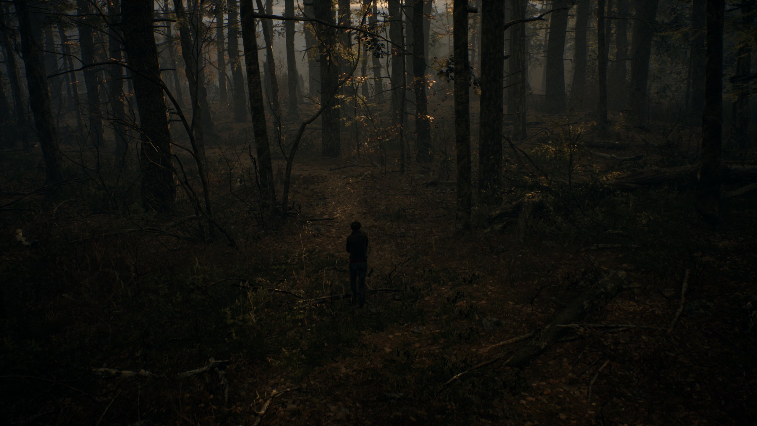 The Medium - Imagen 47